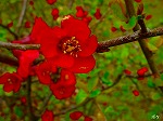 20070309 12.jpg